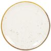 SATURNIA SIVIGLIA Piano 28 cm STAINS Plate