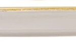 SATURNIA SIVIGLIA Piano 28 cm STAINS Plate - Image 3
