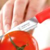 INOXBONOMI Table knife 6 pieces Italian Red - Image 3